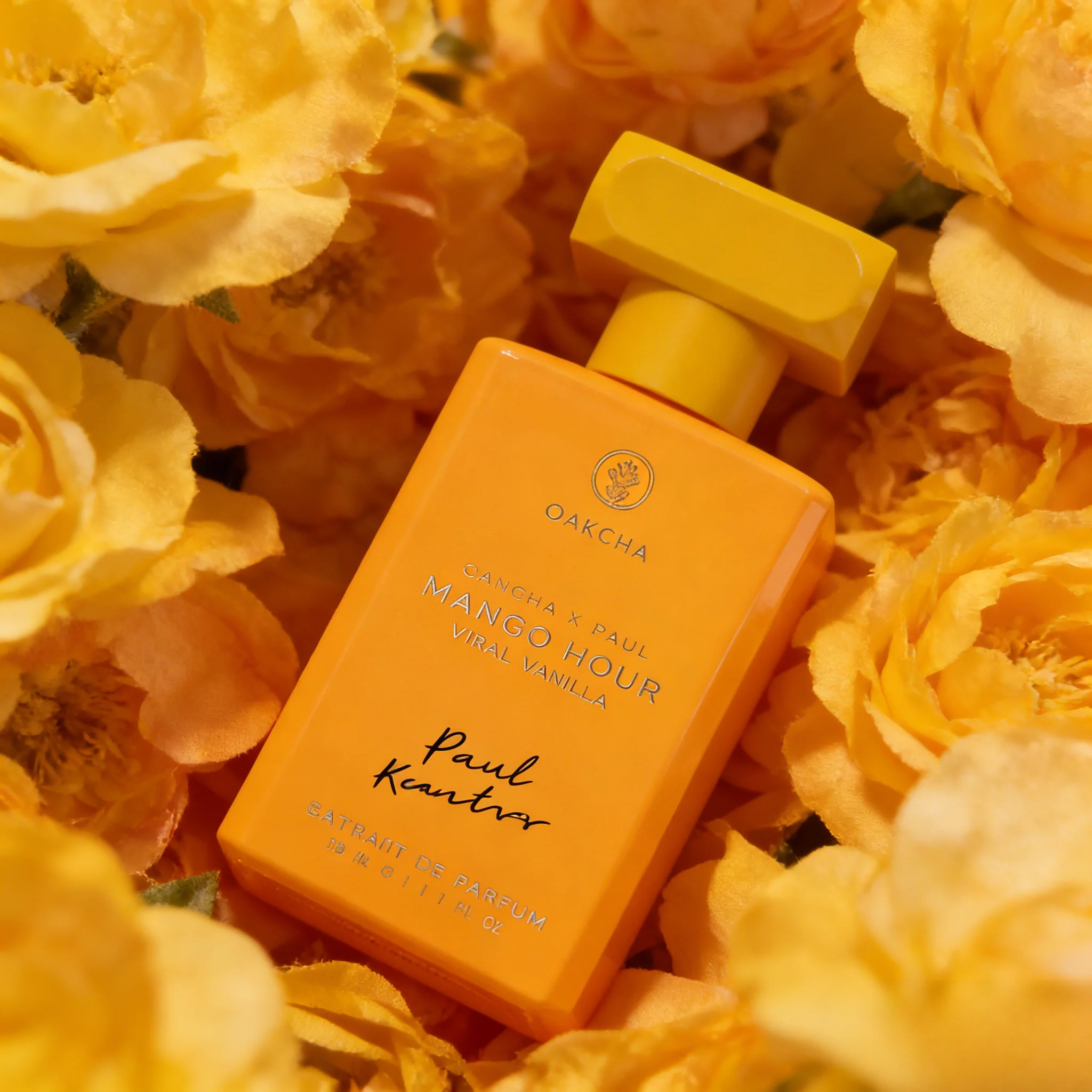 Perfume OAKCHA Serie Mango Hou - Perfume In Fragrance reseña y precio