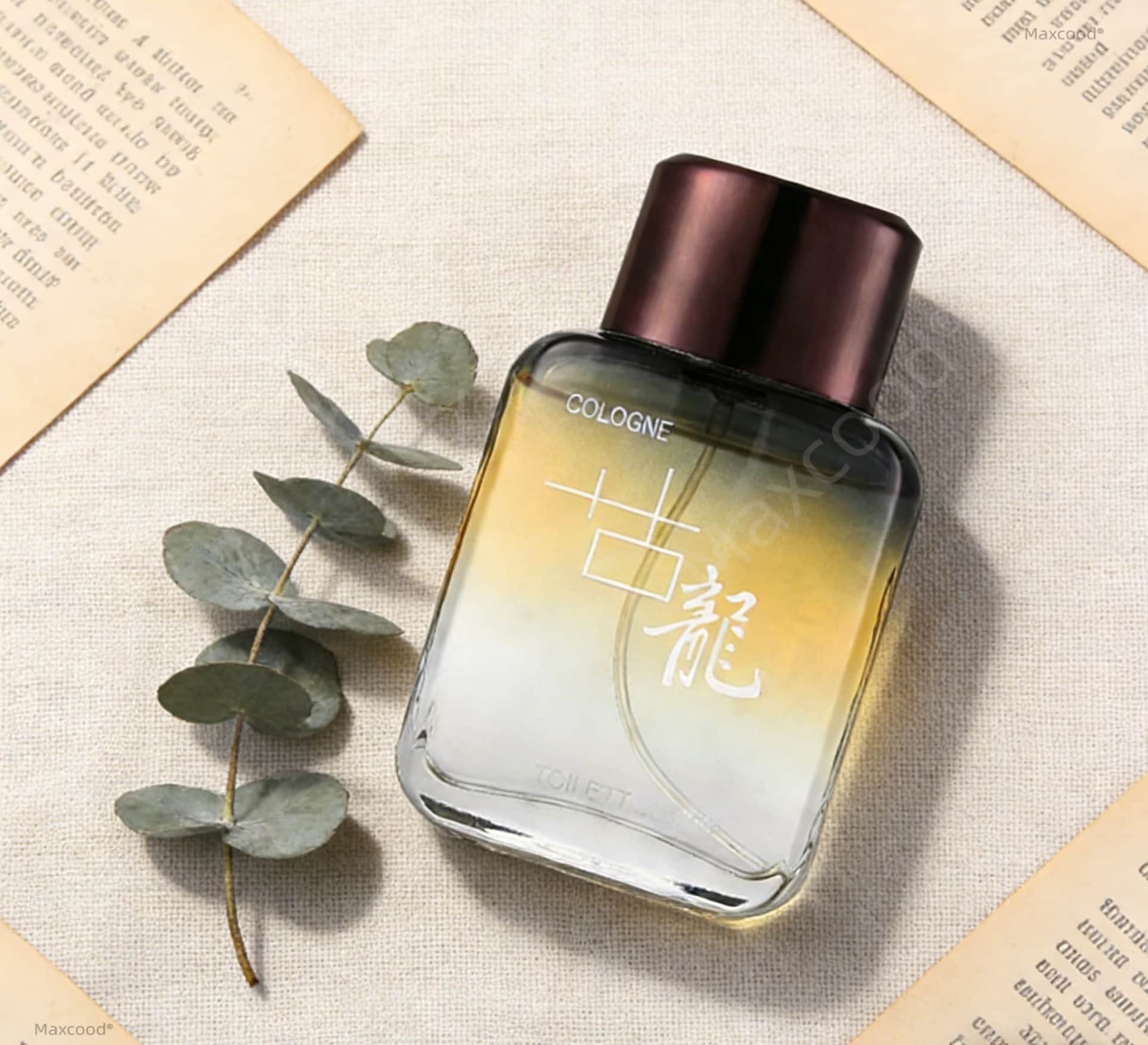 Perfume Masculino Maxcood A Ci - Perfume In Fragrance reseña y precio