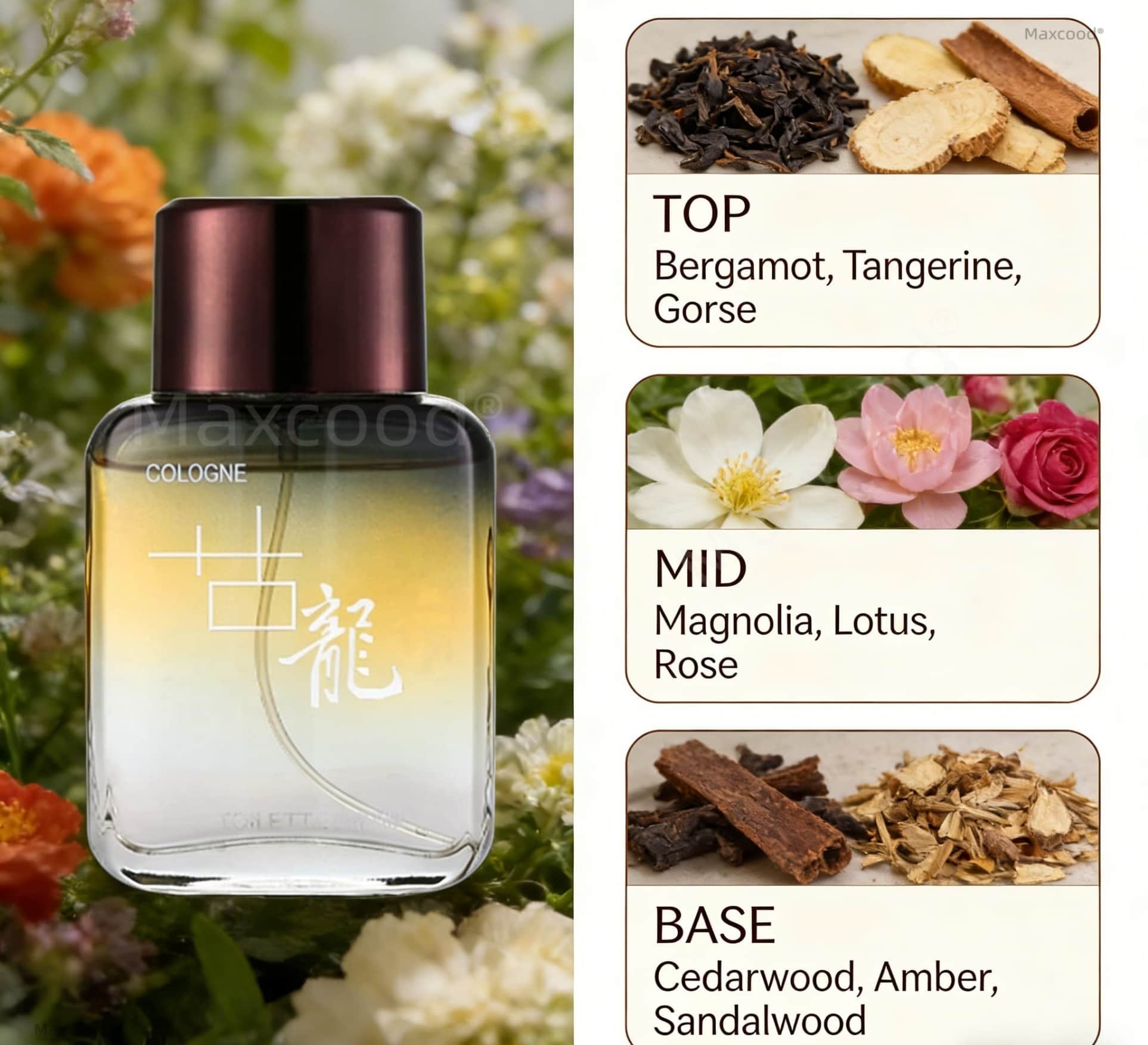 Perfume Masculino Maxcood A Ci - Perfume In Fragrance reseña y precio